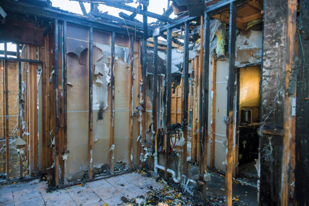 Professional Fire Damage Repair technician working in Home, WA